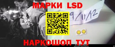 apvp Камышлов
