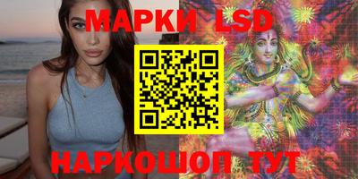 apvp Камышлов