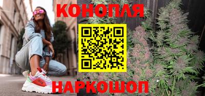 apvp Камышлов