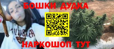 apvp Камышлов