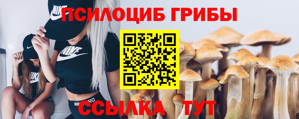 Корсаков  Псилоцибиновые грибы Psilocybe  Псилоцибиновые грибы мицелий  Вход с VPN 